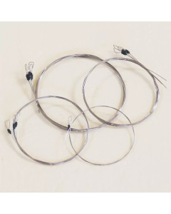 Svaraveena – String Set