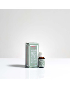 Organic Essential Oil - Peppermint