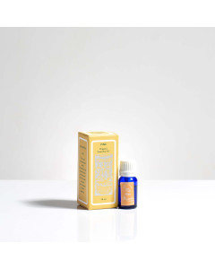 Organic Essential Oil - Pine
