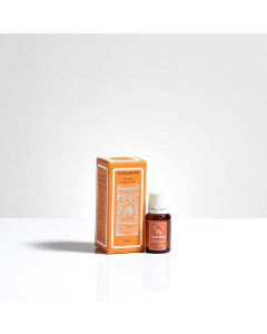 Organic Essential Oil - Sandalwood